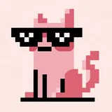 바이브코더 루피 프로필 이미지