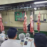 중도매인62번 프로필 이미지