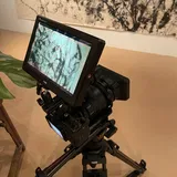 시각집단31 프로필 이미지