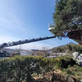 일류스카이 프로필 이미지