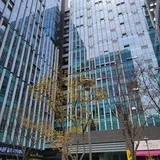 리스토어코리아 주식회사 프로필 이미지