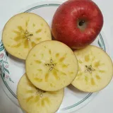 풍기대진농원영농조합법인 프로필 이미지