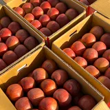 숨쉬는농장 프로필 이미지