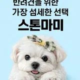 스톤마미 프로필 이미지