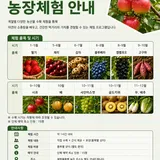 더원기획 문화체험 프로필 이미지