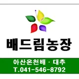 배드림농장 프로필 이미지